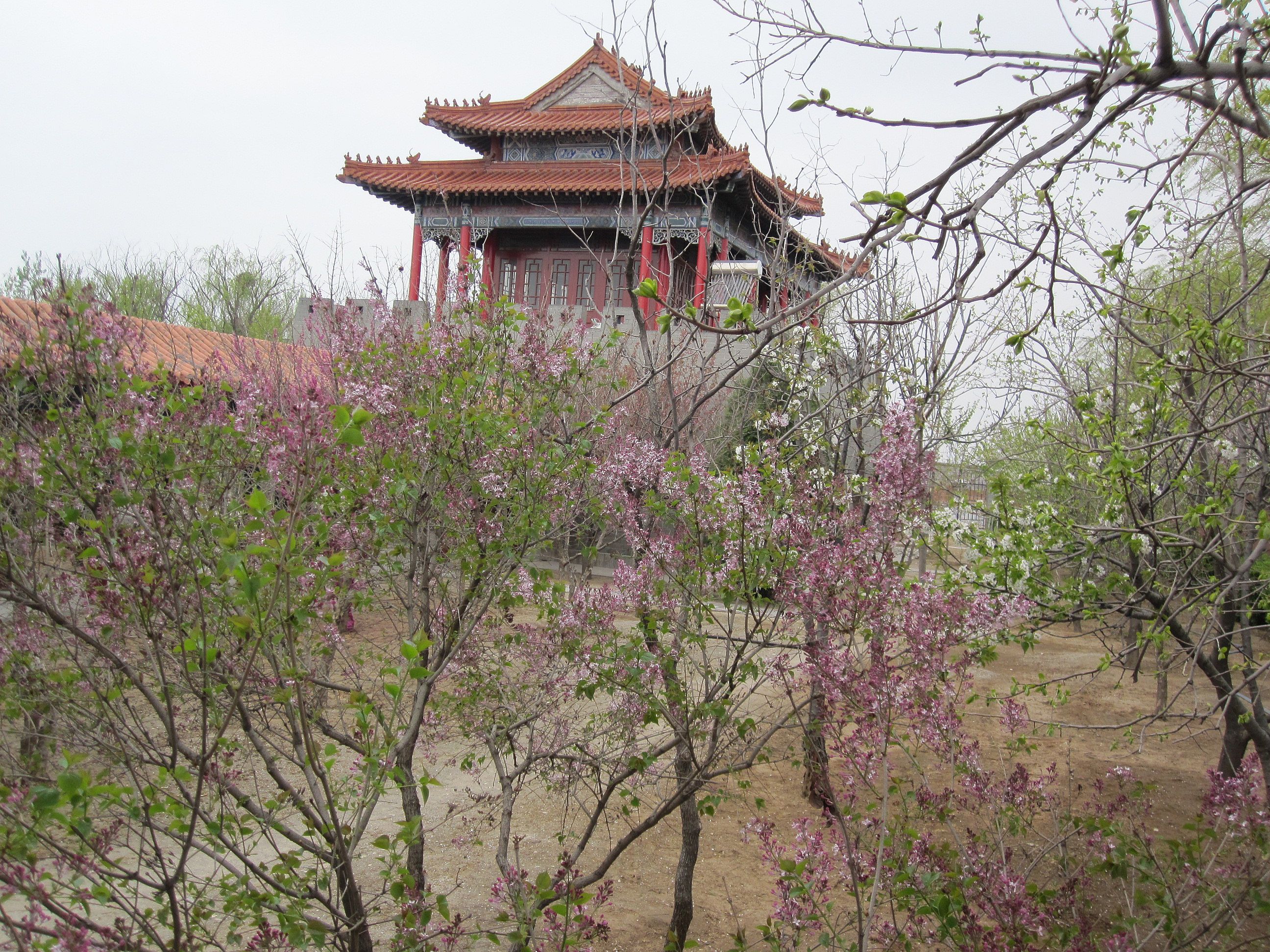 廠(chǎng)區(qū)環(huán)境